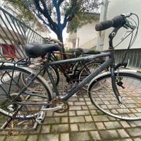 Bicicletta da uomo Bianchi Sonic