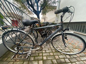 Bicicletta da uomo Bianchi Sonic