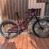 Canyon Neuron on Fly