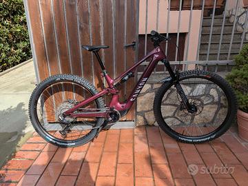 Canyon Neuron on Fly