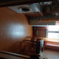 Area verde ansa tiberina