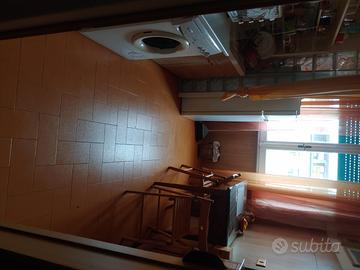 Area verde ansa tiberina