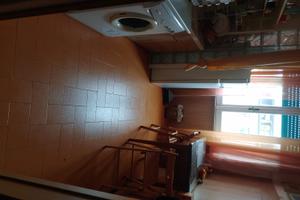 Area verde ansa tiberina