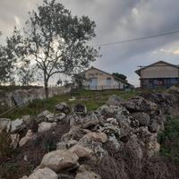 Capannoni con Terreni