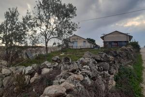 Capannoni con Terreni