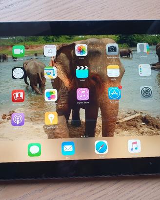 I pad Apple