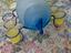 Immagine 5