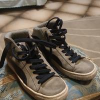 Puma alte, mis. 37
