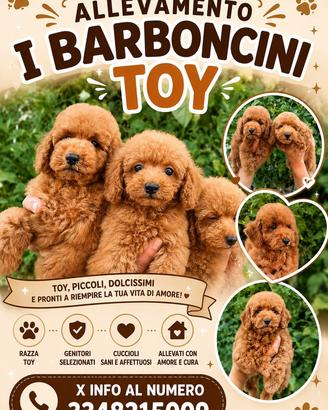 Barboncini toy