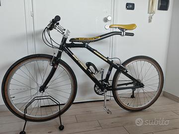 MTB softride vintage