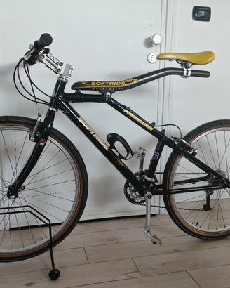 MTB softride vintage