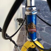 Bicicletta MTB Olympia Leopard Oversize gialloblu