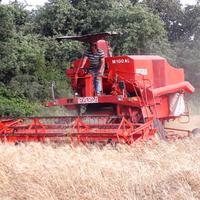 Mietitrebbia laverda  M 100 AL