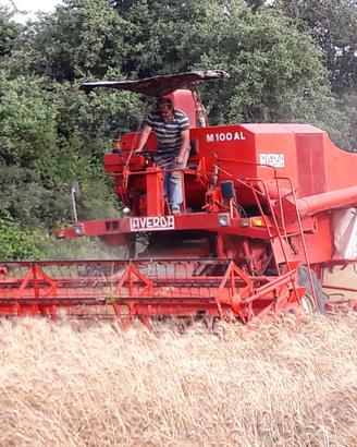 Mietitrebbia laverda  M 100 AL