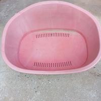 Vasca x cani tg grande