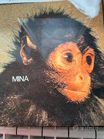 Mina vinile