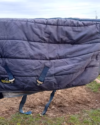 Coperta piumone cavallo