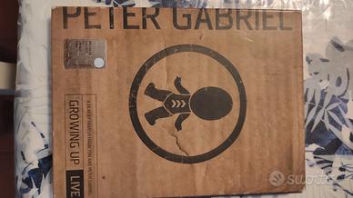 Peter Gabriel  groving up  live
