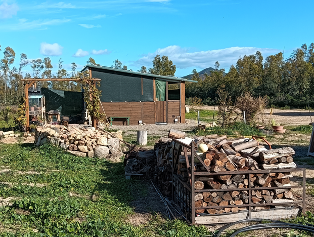 Terreno agricolo Castiadas (SU) + capanno