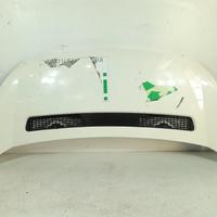 COFANO ANT. FIAT SCUDO «II» (2007)