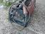Immagine 6