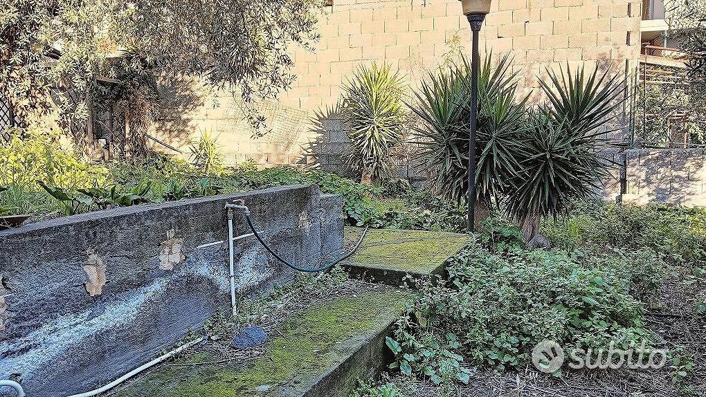 Casa Terrana con Terreno Edificabile Gravina - Vista 3