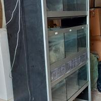 Espositore di acquari