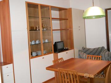 Trilocale ammobiliato libero subito
