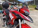benelli-trk-251-2020-guidabile-con-a-2