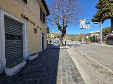 MULTILOCALE A FIUGGI