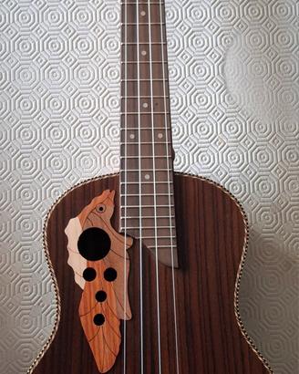 Ukulele Paisen