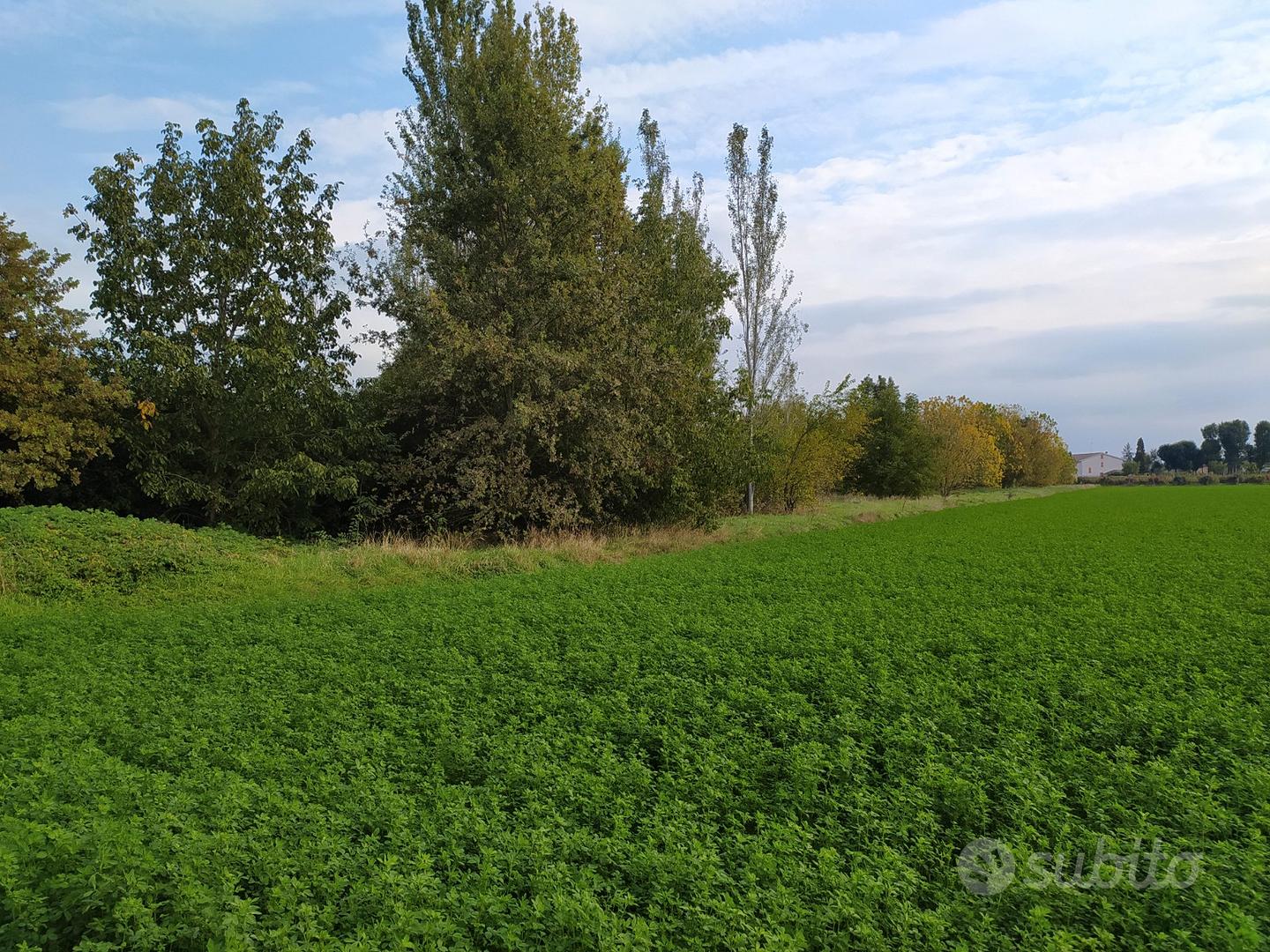 Rustico a correggio - Vista 2