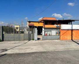 Capannone Industriale Napoli [cod. rif6031523ACG]