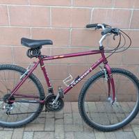 bicicletta MTB 