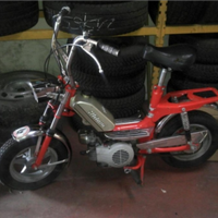 Ricambi mini Milani mini califfo sogno