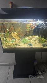 Acquario 80L