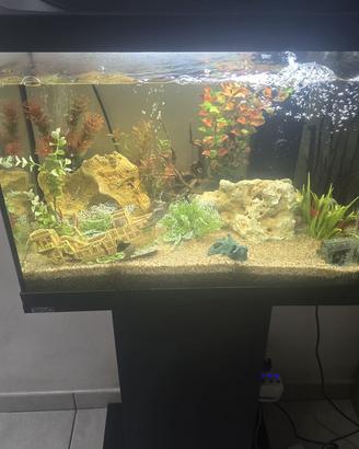 Acquario 80L