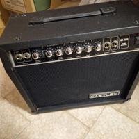 Amplificatore 30ww