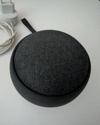 Google Home Mini + batteria Kiwi