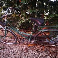 bici da donna