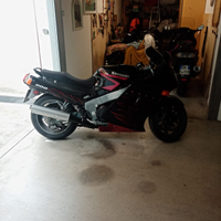 Zzr 1100