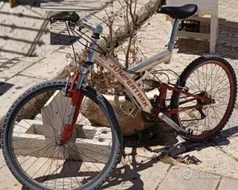 MTB  Jumpertrek