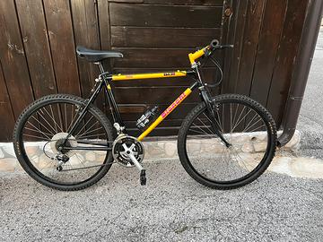 Bicicletta mountain bike