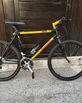 Bicicletta mountain bike