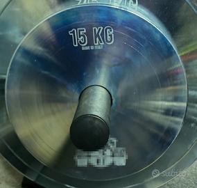 2 dischi olimpionici in acciaio calibrati da 15kg