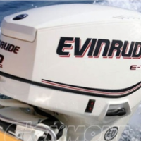 RICAMBI Evinrude e-tec 40/60 2009 (LEGGERE BENE)