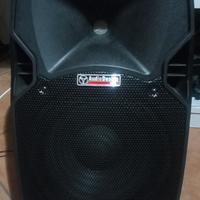 Cassa  Acustica  attività Audio Design Pro