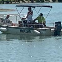 Boston whaler montauk 17