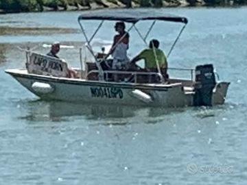 Boston whaler montauk 17