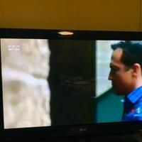 Tv 42 pollici LG 42PG3000 Plasma
